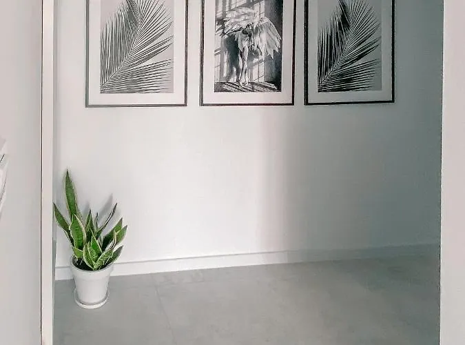 Apartment Fredry 2 Liliowy Kolberg