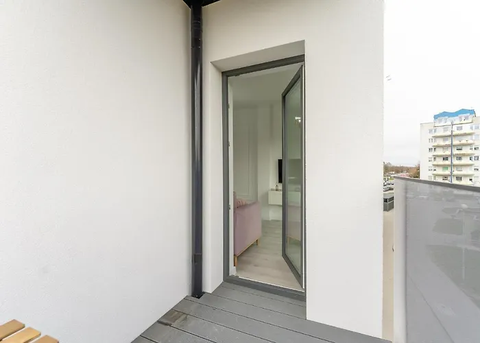 Fredry 2 Liliowy * كولوبرزيغ